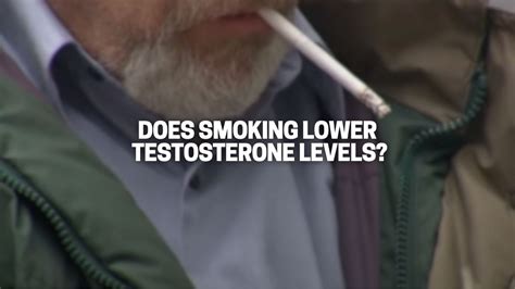 Does nicotine lower testosterone?
