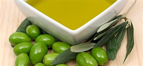Does olive oil attract bacteria?