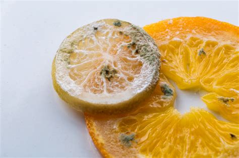 Does orange peel go Mouldy?