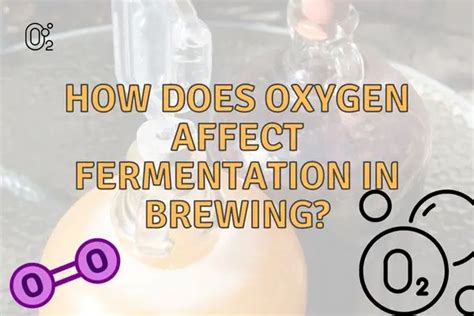 Does oxygen affect fermentation?