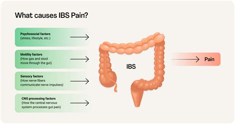 Does paneer cause IBS?