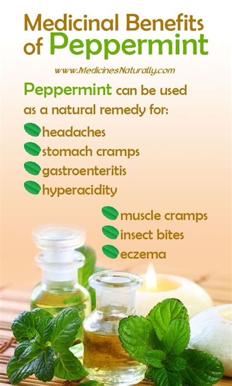 Does peppermint attract anything?