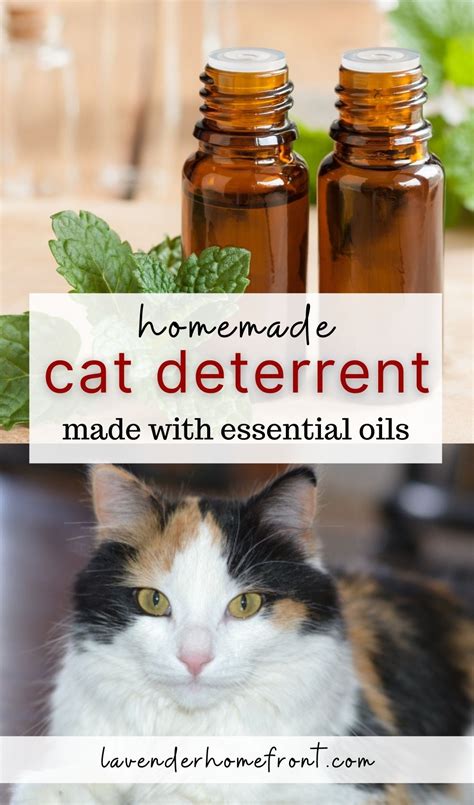 Does peppermint oil stop cats from peeing?