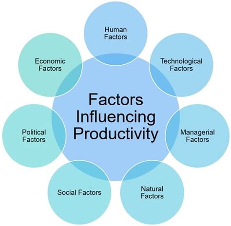 Does personality affect productivity?