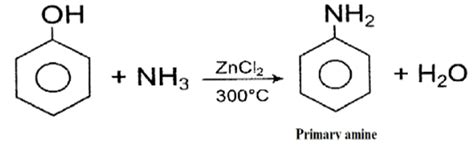 Does phenyl contain ammonia?