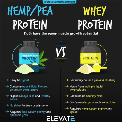 Does plant protein digest faster than whey?