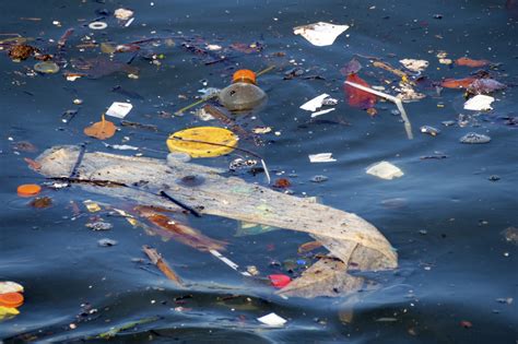 Does plastic cause pollution?