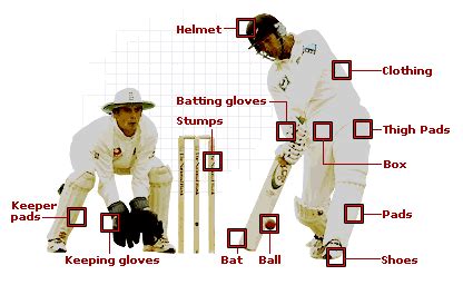 Does playing cricket build muscle?