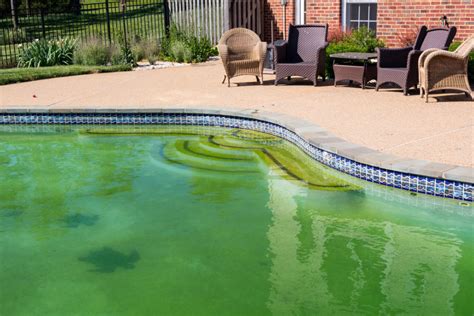 Does pool water turn green in winter?
