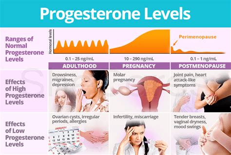 Does progesterone age you?