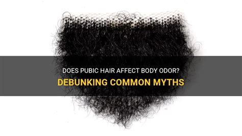 Does pubic hair hold odor?