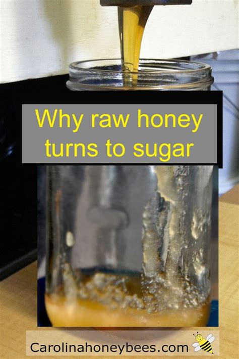 Does pure honey turn to sugar?