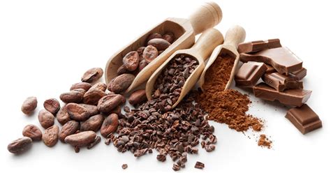 Does raw cacao powder taste like chocolate?