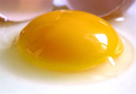 Does raw egg yolk have bacteria?