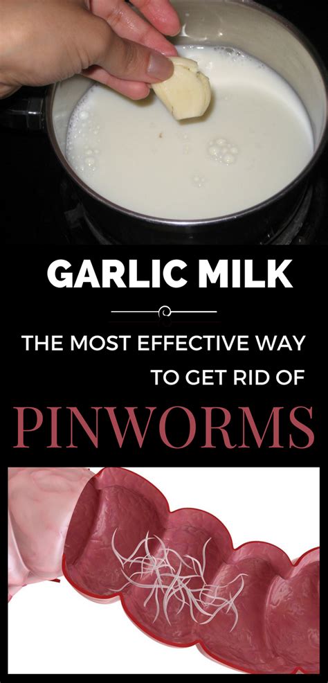 Does raw garlic get rid of worms?