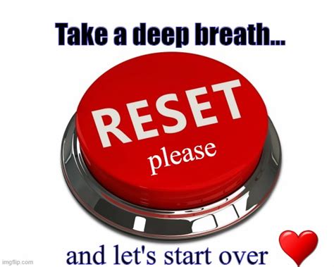 Does reset mean start over?