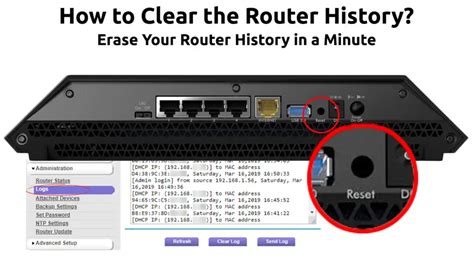 Does resetting router clear history?