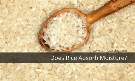 Does rice absorb water?