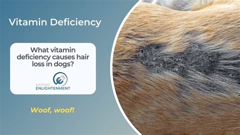 Does rice cause hair loss for dogs?