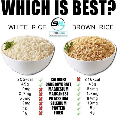 Does rice have mercury?