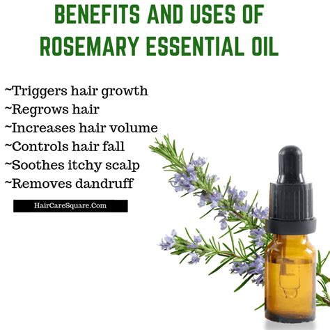 Does rosemary oil regrow hair?