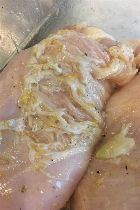 Does rotten chicken smell like ammonia?
