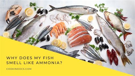 Does rotten fish smell like ammonia?