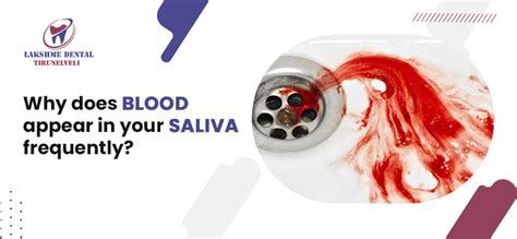 Does saliva dissolve blood?