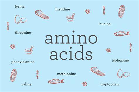 Does salmon have all 9 amino acids?