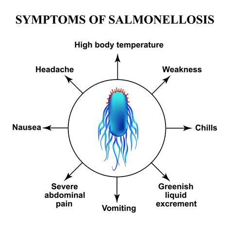 Does salmonella go away?