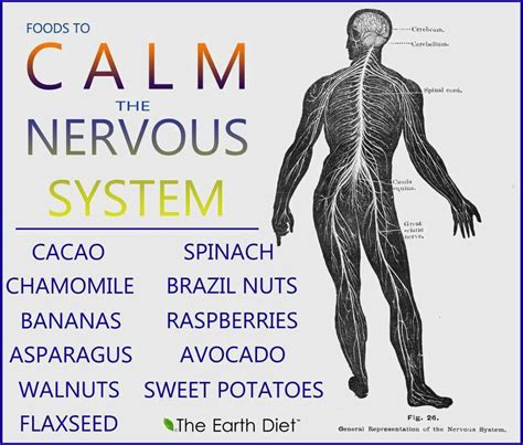 Does salt calm nerves?