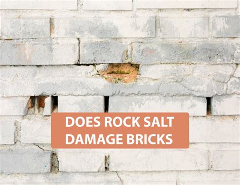 Does salt damage brick?