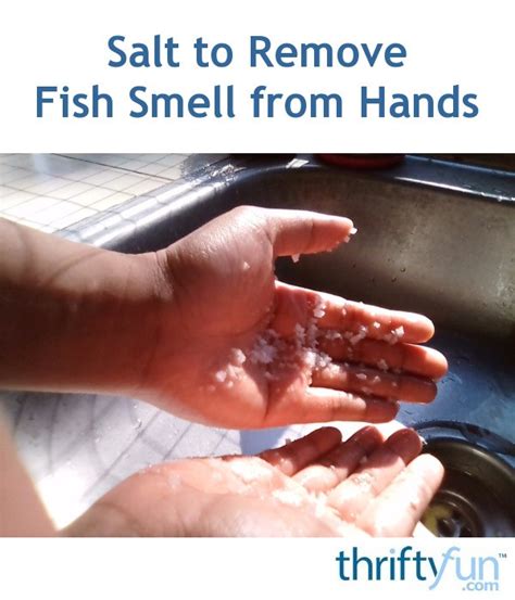 Does salt remove smell?