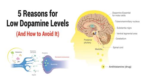 Does screen light lower dopamine?