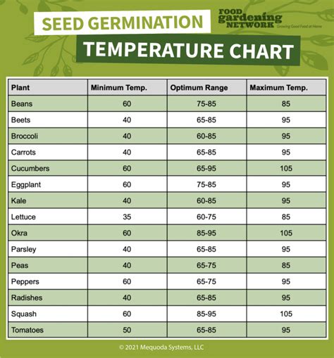 Does seeding use data?