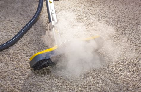 Does shampooing carpet cause mold?