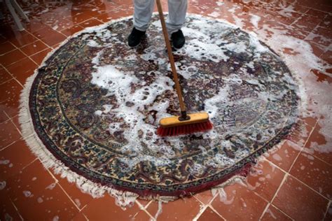 Does shampooing carpet get rid of smell?