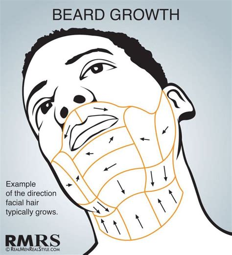 Does shaving fill in your beard?
