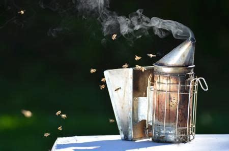 Does smoke get rid of bees?