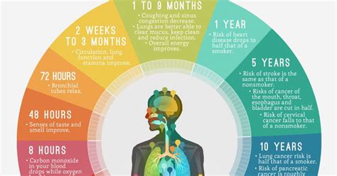 Does smoking change your body shape?