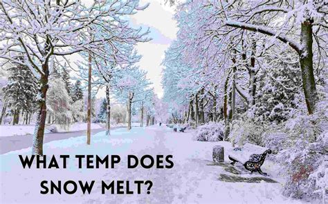 Does snow melt at 1 C?