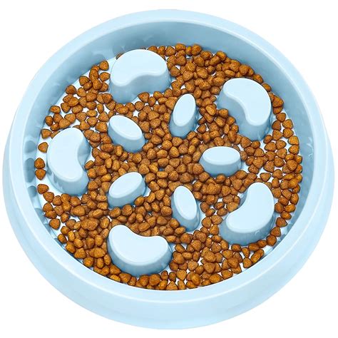 Does soaking dog food help bloat?
