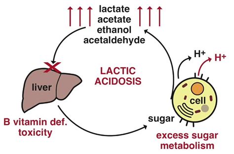 Does sodium bicarb increase lactic acid?