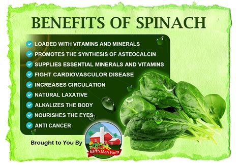 Does spinach have fructose?