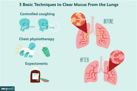 Does steam break up mucus in lungs?