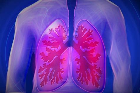 Does steaming heal lungs?