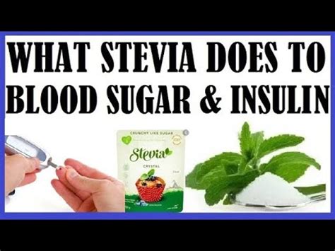 Does stevia increase estrogen?