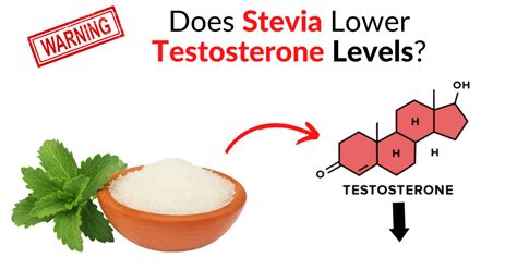 Does stevia lower testosterone?