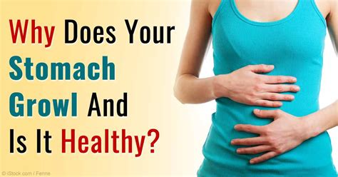 Does stomach growling burn fat?