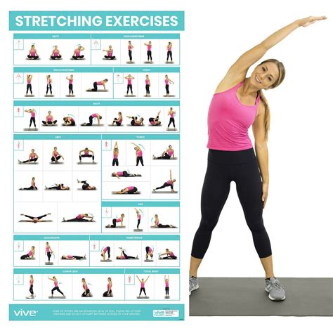 Does stretching for 30 minutes count as exercise?